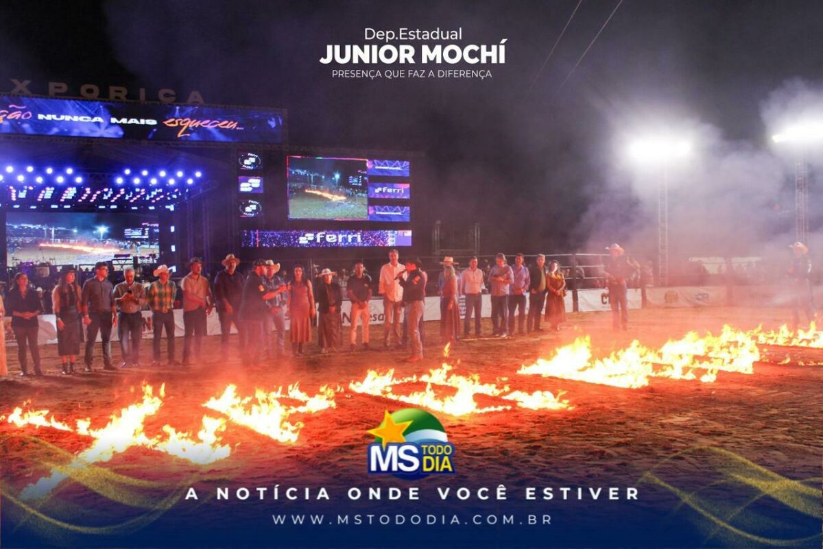 Imagem da Galeria